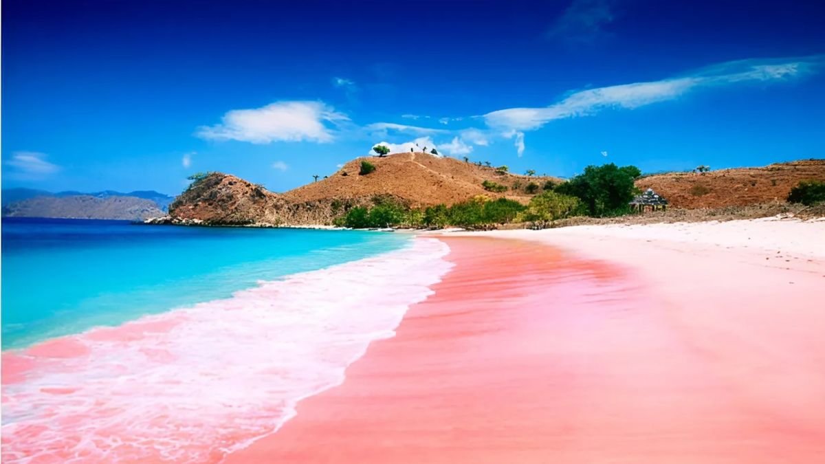 pantai pink