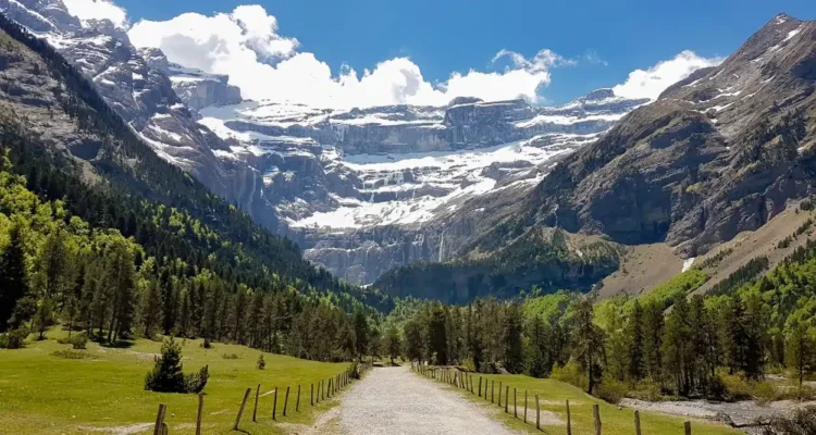 The Pyrenees