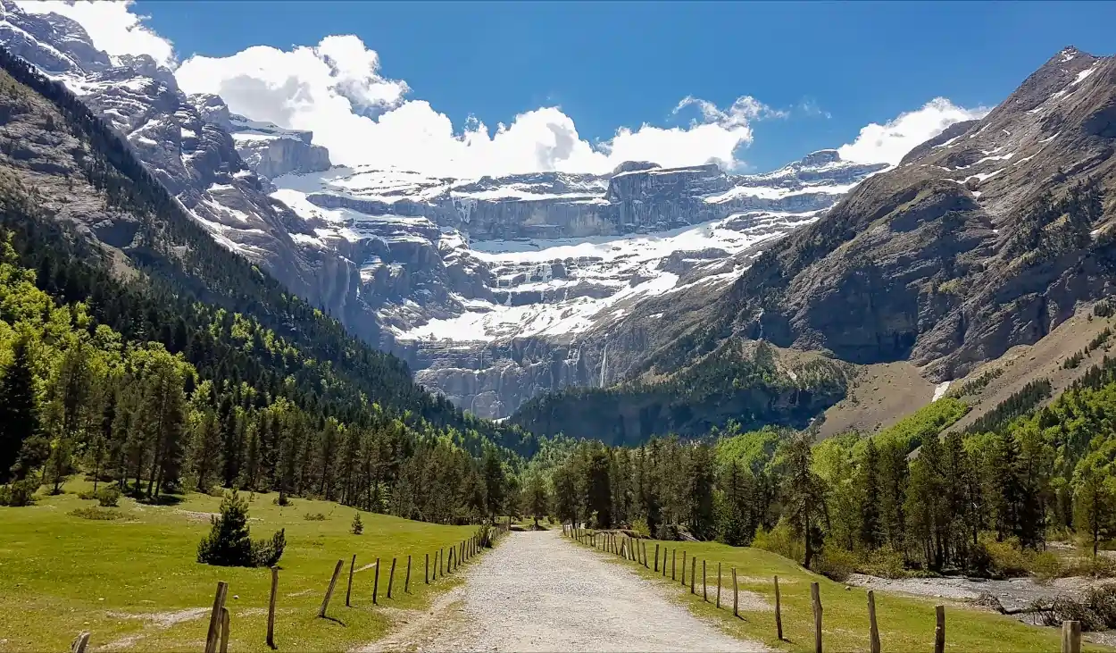 The Pyrenees