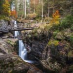 Bavarian Forest