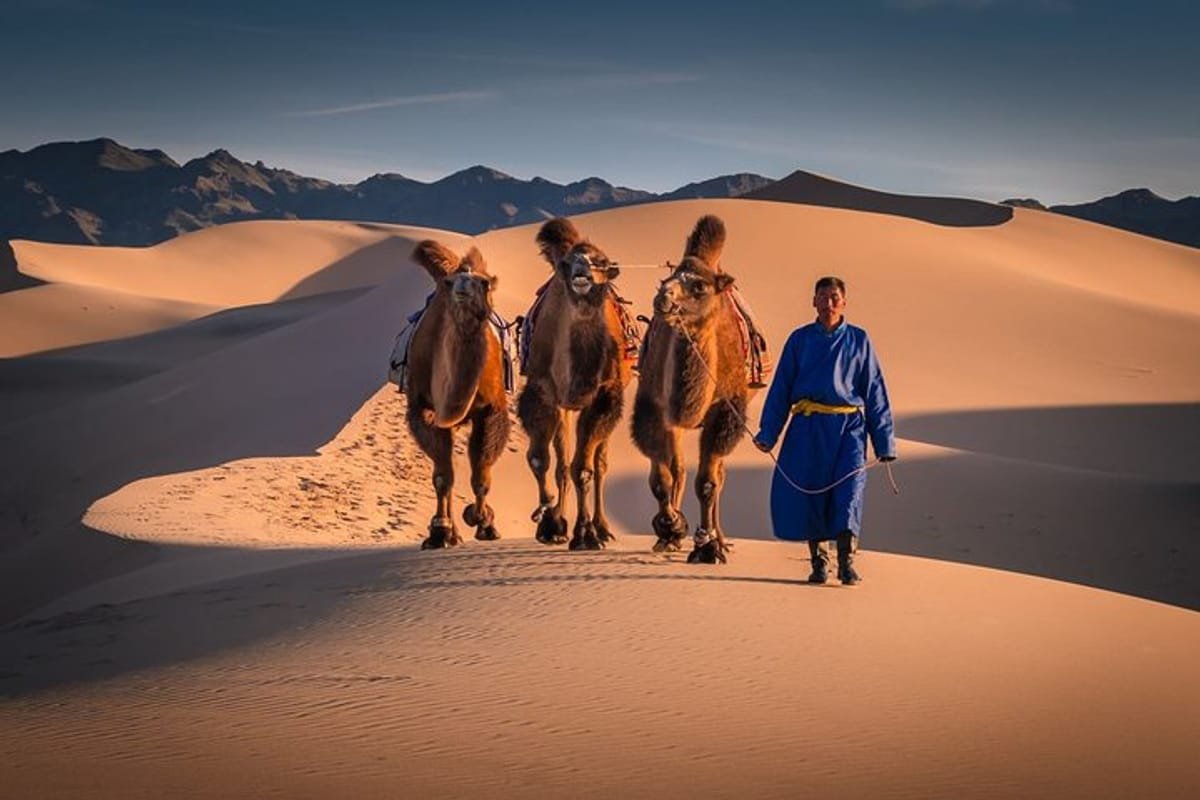 Gobi Desert
