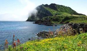 Jeju Island