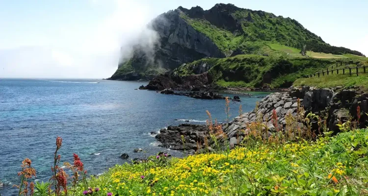 Jeju Island