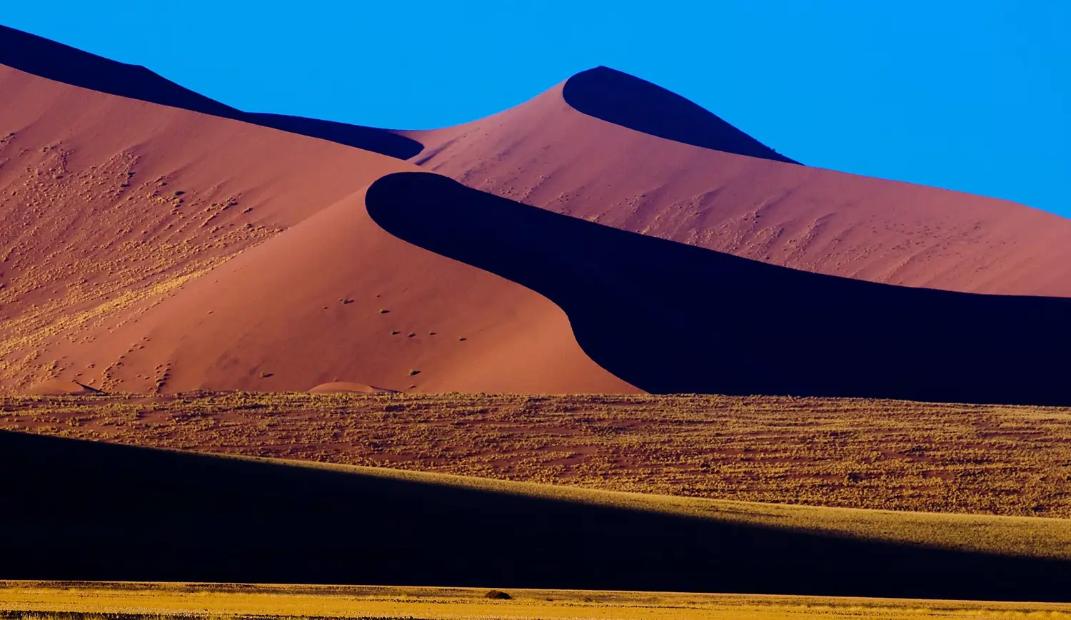 Namib Desert