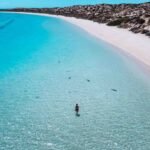 Coral Bay Western Australia: Pesona Ningaloo Reef yang Menawan untuk Snorkeling dan Menyelam Coral Bay Western Australia: Pesona Ningaloo Reef yang Menawan untuk Snorkeling dan Menyelam