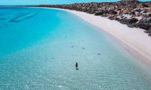 Coral Bay Western Australia: Pesona Ningaloo Reef yang Menawan untuk Snorkeling dan Menyelam