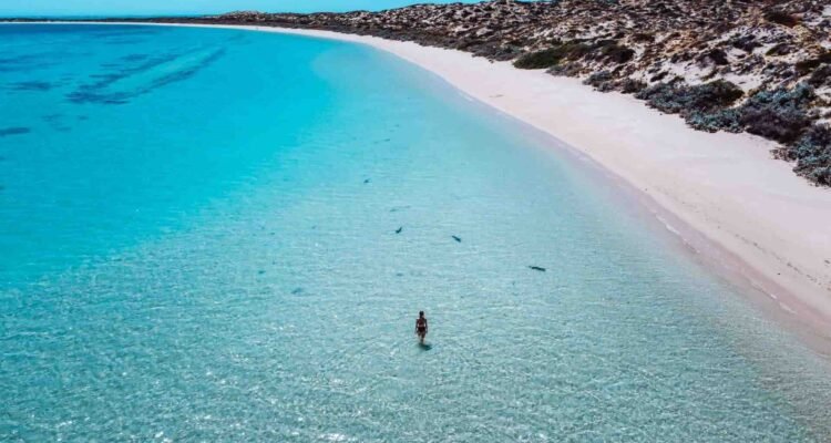 Coral Bay Western Australia: Pesona Ningaloo Reef yang Menawan untuk Snorkeling dan Menyelam