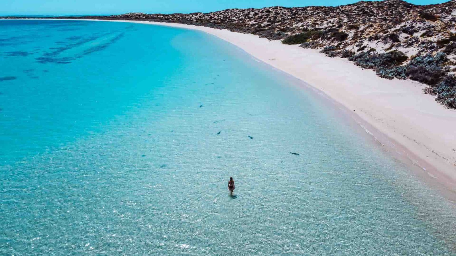 Coral Bay Western Australia: Pesona Ningaloo Reef yang Menawan untuk Snorkeling dan Menyelam Coral Bay Western Australia: Pesona Ningaloo Reef yang Menawan untuk Snorkeling dan Menyelam