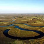 Okavango Delta Botswana, Surga Air di Tengah Savana Afrika Okavango Delta Botswana, Surga Air di Tengah Savana Afrika