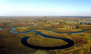 Okavango Delta Botswana, Surga Air di Tengah Savana Afrika