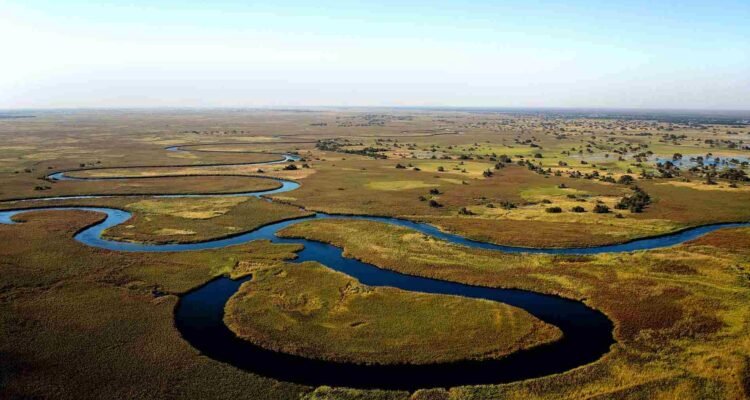 Okavango Delta Botswana, Surga Air di Tengah Savana Afrika Okavango Delta Botswana, Surga Air di Tengah Savana Afrika