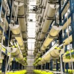 Agrowisata Vertical Farming