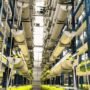 Agrowisata Vertical Farming