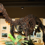 Museum Nasional Museum Nasional