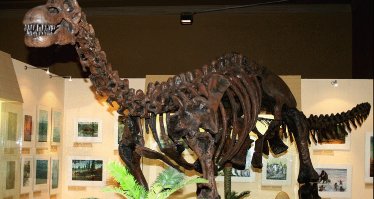 Museum Nasional Museum Nasional