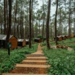 Deretan Glamping Baru Deretan Glamping Baru