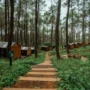 Deretan Glamping Baru