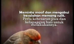 siapa minta maaf duluan