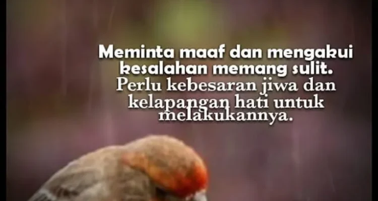 siapa minta maaf duluan siapa minta maaf duluan