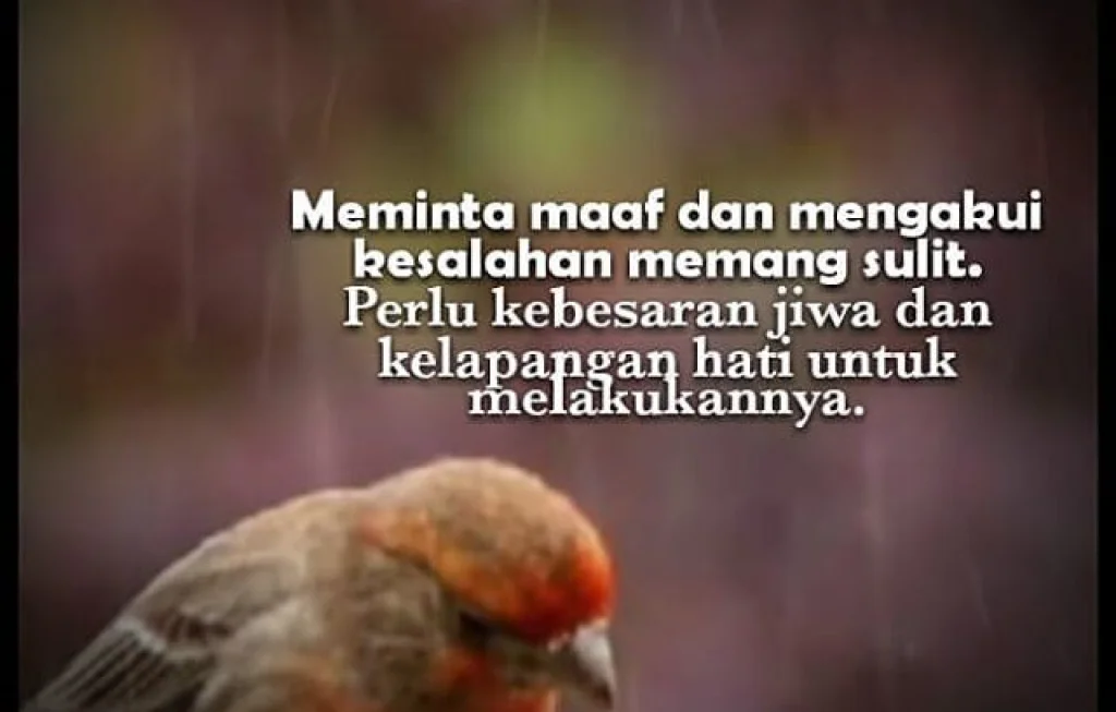 siapa minta maaf duluan