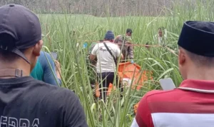 Warga Jember dan Situbondo