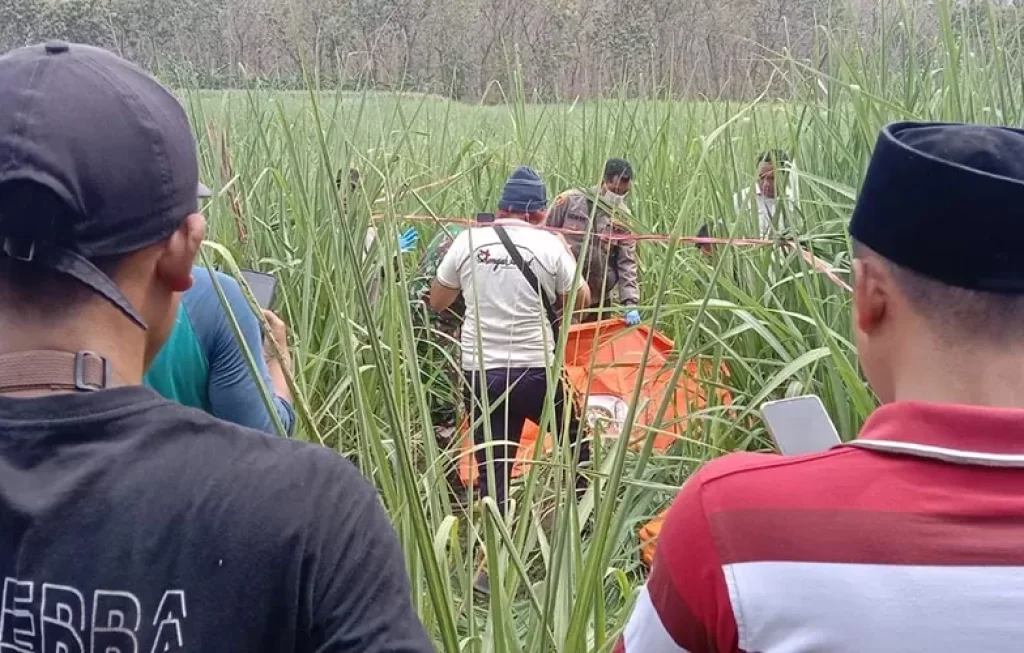 Warga Jember dan Situbondo